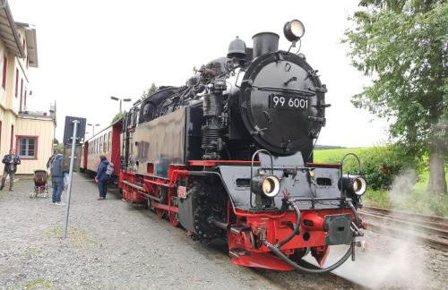 Ferienhaus Blaue Blume mit 11 kW Ladestation, Kamin, Terrasse, eingezäuntem Garten, Sauna, WLAN, Netflix, 2 Hunde willkommen! - Foto 73