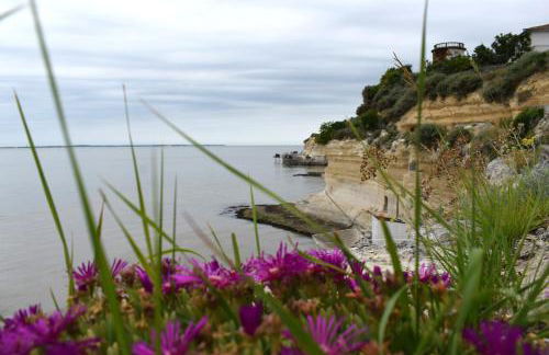 Studio La Charentaise - Logement de vacances 2 personnes vue mer - Foto 55