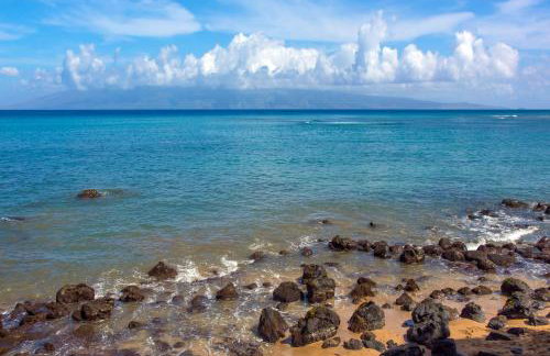 Hale Ono Loa 406 - Foto 28