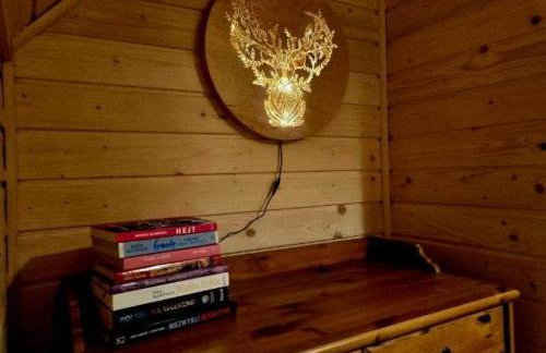 Domek pod Ostoją Góry Sowie - Foto 36