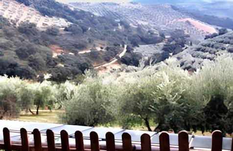 Elegant Villa in Granada with Pool and Garden - Foto 48