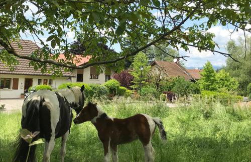 Beautiful Lake Annecy Villa - Foto 74
