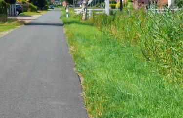 Lüttje Freeitied - Foto 12