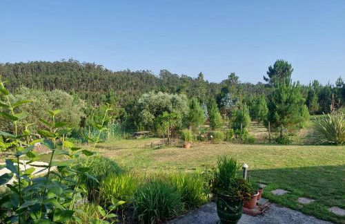 Casa Limonina - Foto 61