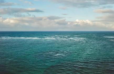 Magic North Shore Beach House 30 day rental PCC BY - Foto 61