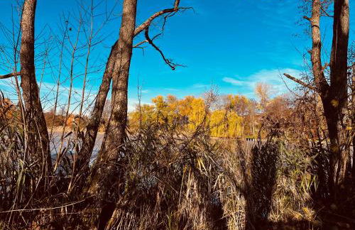 Ferienwohnung I Beck-Bräu nahe Bamberg - Foto 24
