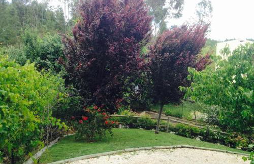 A Casa da Lua - Foto 48