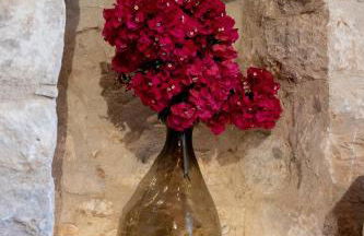 Areopolis Central - Foto 13