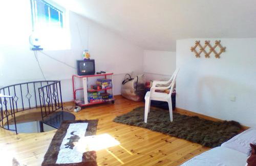 Ginî Viñis - Foto 23