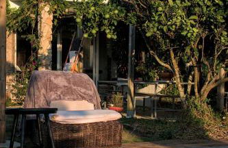 João Jungle - Foto 18