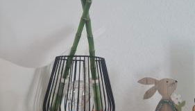 Roof Top LOFT 2 ROOMS - Foto 4