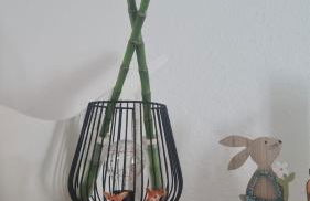 Roof Top LOFT 2 ROOMS - Foto 4