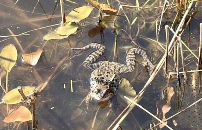 Unexpected-bochum Comfortable Vacation Home - Foto 21