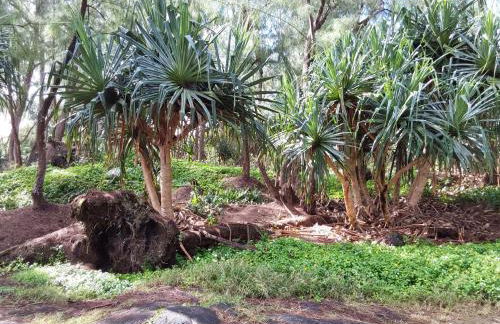 Ainaloa home of Big Island for Double size bedroom - Photo 4