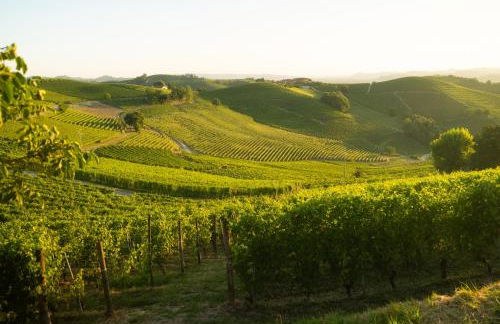 Gorgievi Residence - Foto 34