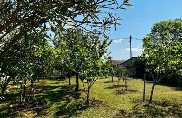 Villa Smokva - Foto 18