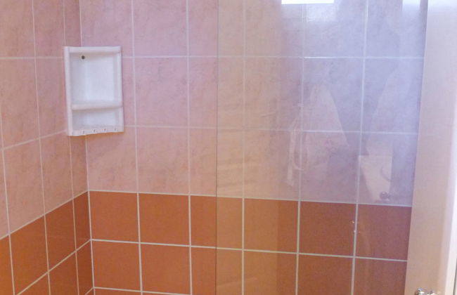 Les écureuils - Foto 12