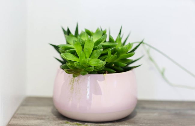 Shorebreak - Bracklesham Bay Apartment - Foto 25