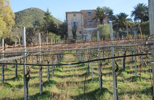 Sa Perda Arrubia - Foto 8