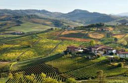 Casa Nalin - Photo 10