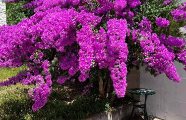 Studio apartment SOL - Foto 11