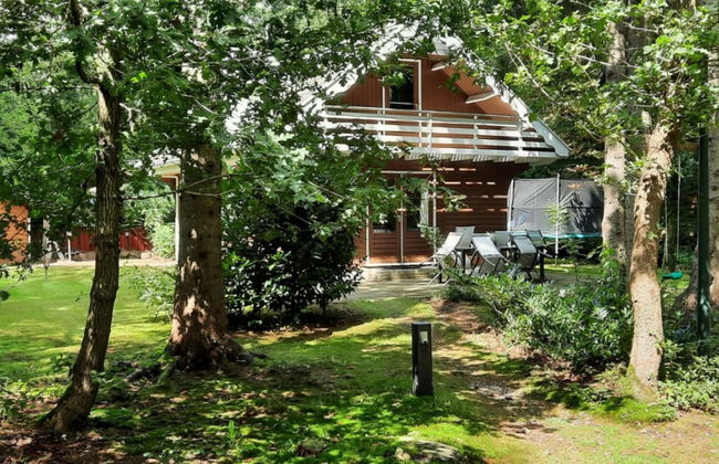 3 bedroom House in Norg with garden and terrace - Photo 1