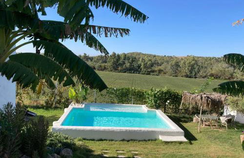 El Lagar de los Abuelos - Foto 18