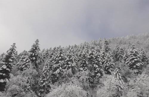 Le duplex de Dana, Gresse en Vercors, Alpes du Nord, classement 3 étoiles par Atout France - Foto 30