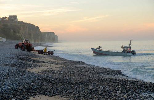 Gîte de la roseraie - Foto 43