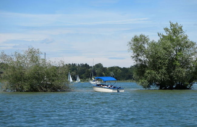 Dennenboomdroom - Photo 21