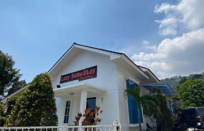 Villa Bromo Potato 2 - Photo 10