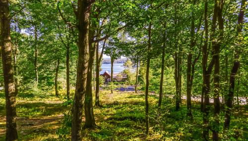 Mirabella Eclano - Foto 3