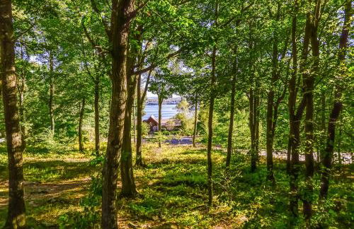 Mirabella Eclano - Foto 3