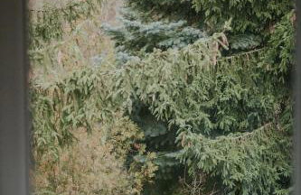 Przylesie 12 - Foto 34