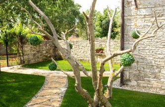 Vileta Juraga - Foto 25