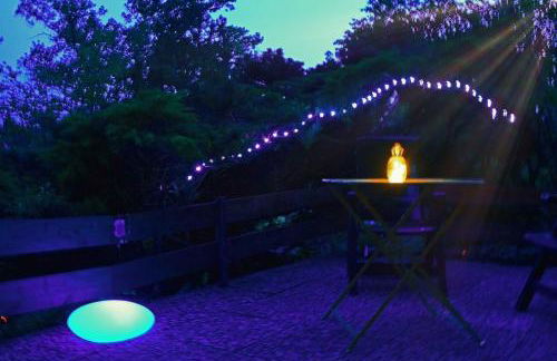 Elbwald-Studio - Foto 9