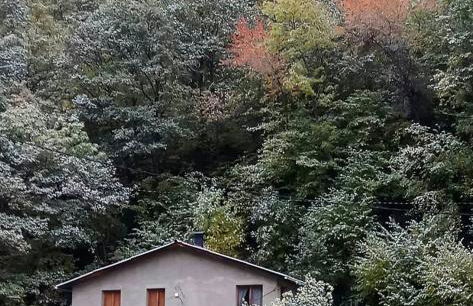 Apartamento - Foto 7