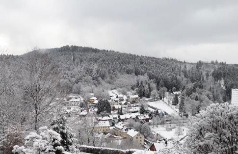 Haus Westharz Clausthal - Foto 13