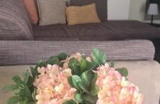 Gästewohnung direkt an der Wallmauer - Foto 21