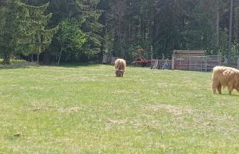 Ferienwohnung GABI - Foto 58