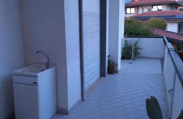 Greenhouse - Foto 57