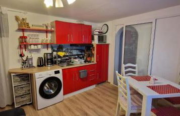 Orchidee 2 - Photo 1