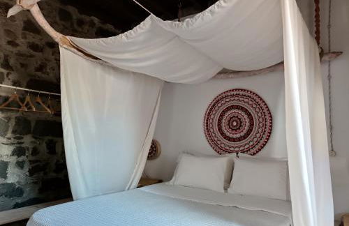 Avó da Rosa 3 - Photo 7