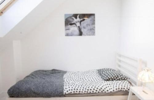 Kaszuby domek Czerwona Koza - Foto 15