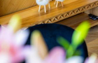 Tatrzański Horyzont - Foto 16