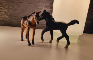 Haus Moor Merland - Foto 25