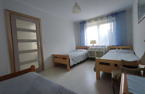 agro NOCLEGI - Foto 25