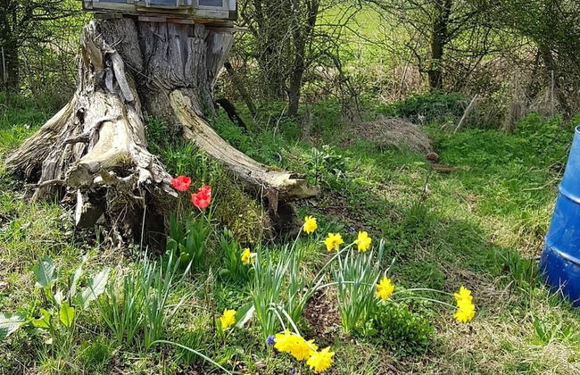 Cosy Escape Heated Luxury pod and hot tub - Foto 27