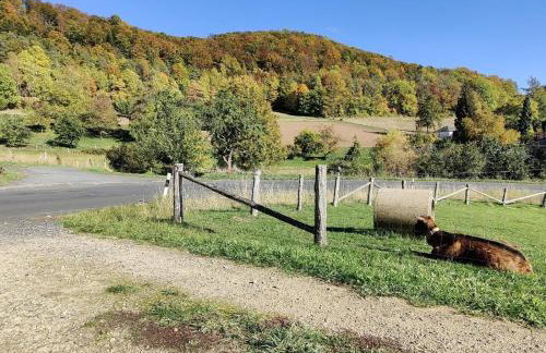 Gemütliches Fachwerkhaus Hessen Thüringen - Foto 19