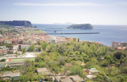 Golden Garden - Foto 18